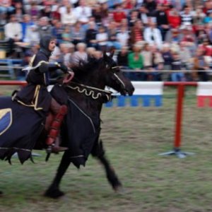 Средне¬вековая неделя на Готланде