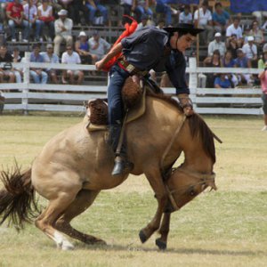 Фиеста де ла Патрия Гауча (Fiesta de la