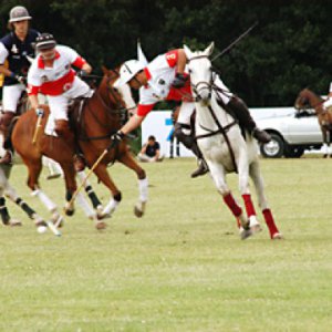 Argentina Polo Finals