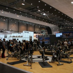 FIBO